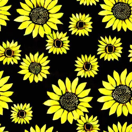 Eye-Catching Yellow Sunflowers on Black Background Eye-Catching Yellow Sunflowers on Black Background thumbnail