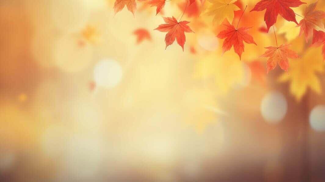Download Blurry autumn leaves background Backgrounds Online - Creative ...