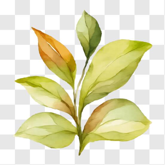 Big Green Leaf PNG Transparent Images Free Download, Vector Files