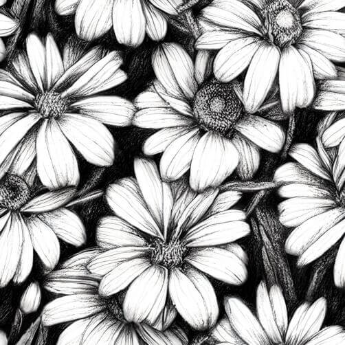 Black and White Abstract Flower Pattern with Daisy Drawings Black and White Abstract Flower Pattern with Daisy Drawings thumbnail