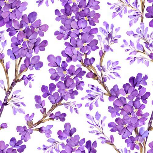 Purple Lilac Flowers Pattern on White Background Purple Lilac Flowers Pattern on White Background thumbnail