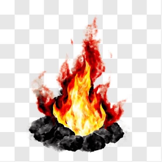 Fire Flame png download - 460*556 - Free Transparent Fire png