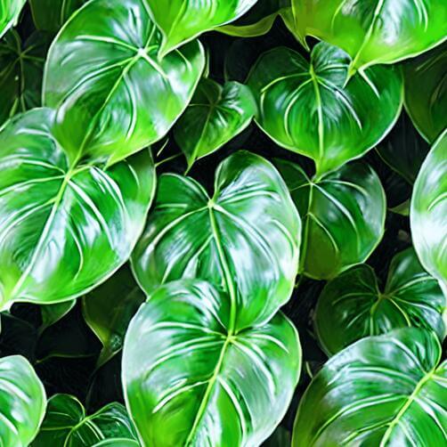Large Group of Green Leaves in Enclosed Space Large Group of Green Leaves in Enclosed Space thumbnail