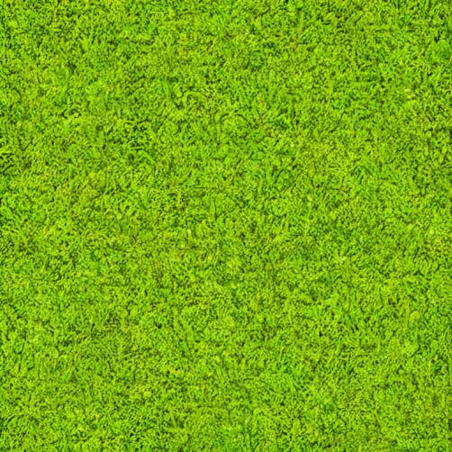 Soft and Versatile Green Grass Texture Background Soft and Versatile Green Grass Texture Background thumbnail