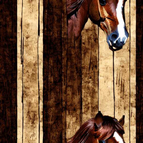 Two Brown Horses Facing Each Other on Wooden Background Two Brown Horses Facing Each Other on Wooden Background thumbnail