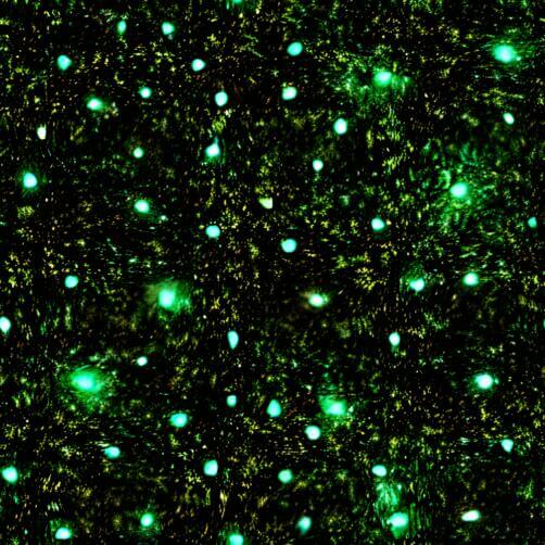 Green lights on a black background Green lights on a black background thumbnail