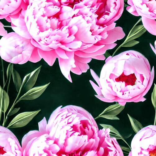 Seamless Pink Peony Pattern on Dark Background Seamless Pink Peony Pattern on Dark Background thumbnail