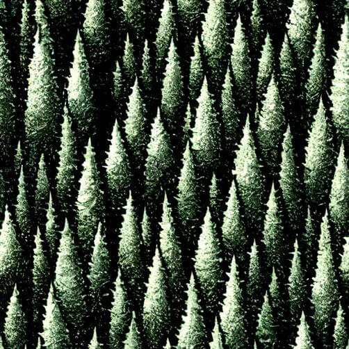 Black and White Forest with Green Pine Trees Black and White Forest with Green Pine Trees thumbnail