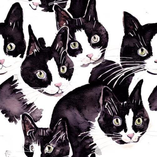 Adorable Group of Black and White Cats Adorable Group of Black and White Cats thumbnail
