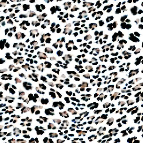Download Leopard Print Wallpaper with Black and Brown Spots Patterns ...