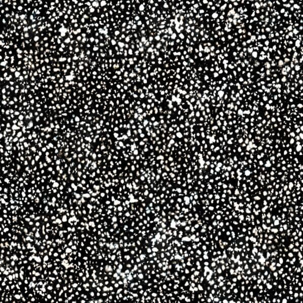 Download Black and White Dot Pattern for Wallpaper and Decor Patterns ...