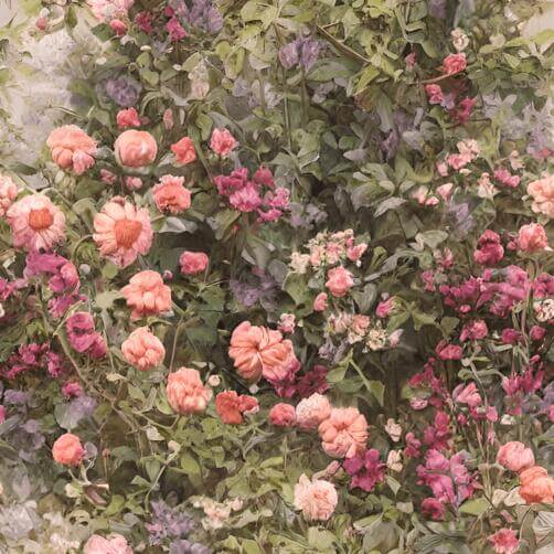 Wall of Blooming Flowers in Various Colors Wall of Blooming Flowers in Various Colors thumbnail