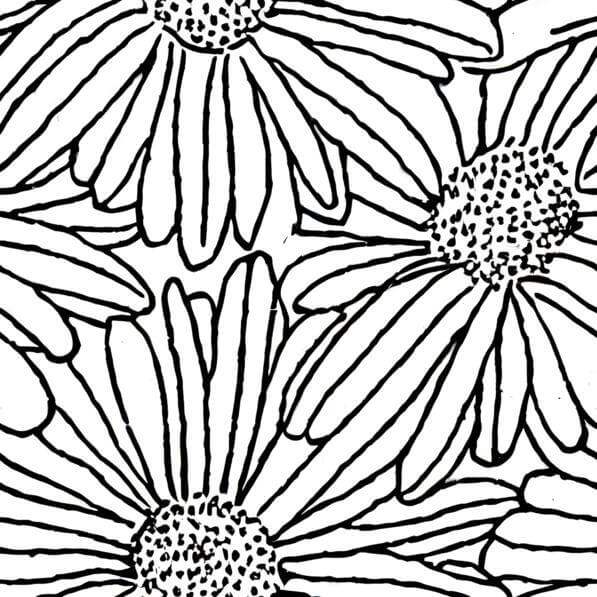 Download Adult Coloring Pages: Flower Pattern with Daisies Patterns ...