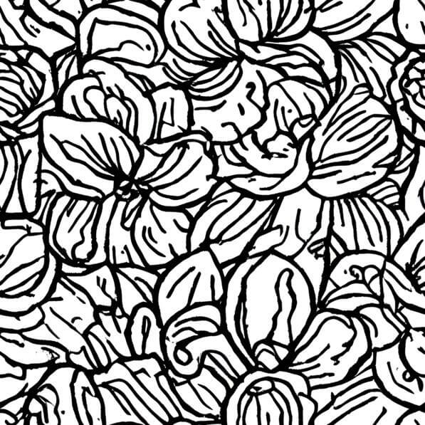 Download Black and White Flower Doodle Seamless Pattern Patterns Online ...