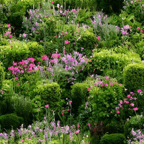 Colorful Garden with Lush Greenery and Vibrant Flowers Colorful Garden with Lush Greenery and Vibrant Flowers thumbnail