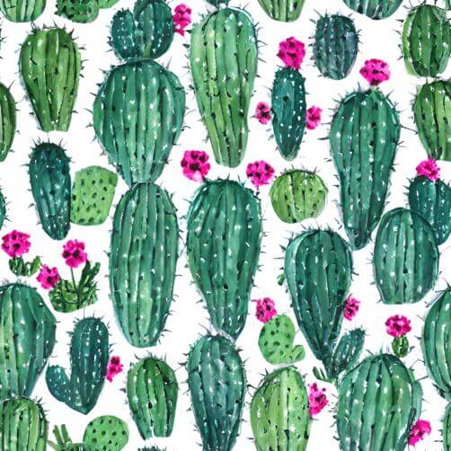 Seamless Cactus Plant Pattern on White Background Seamless Cactus Plant Pattern on White Background thumbnail