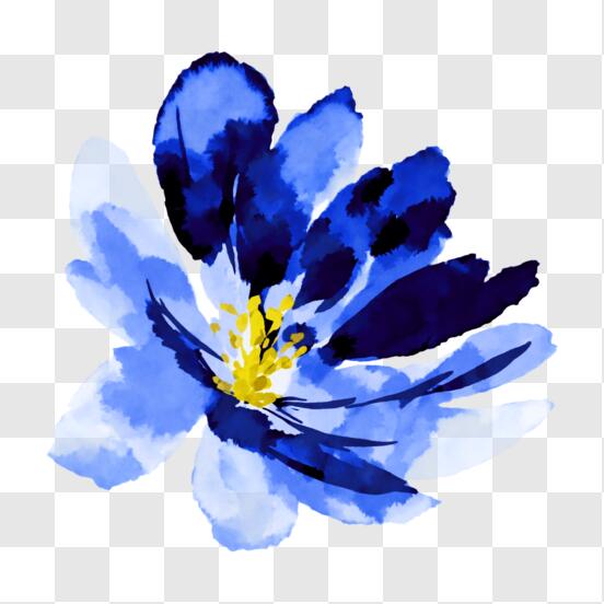 File:Blue Flower Transparent Background.png - Wikimedia Commons