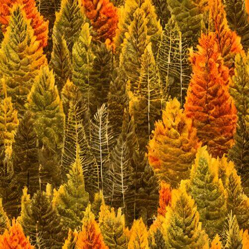 Colorful Autumn Forest with Pine Trees in Orange, Yellow, and Red Colorful Autumn Forest with Pine Trees in Orange, Yellow, and Red thumbnail