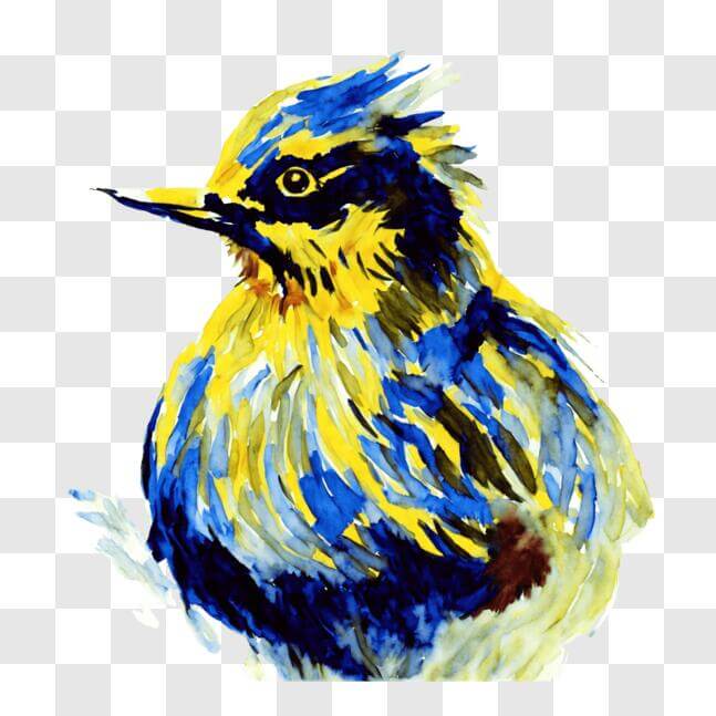 Download Beautiful Blue and Yellow Bird Photo PNG Online - Creative Fabrica