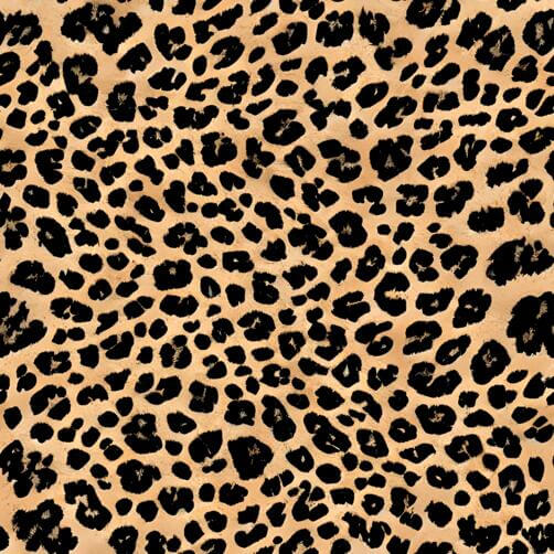 Download Leopard Print Wallpaper with Black and Brown Spots Patterns ...