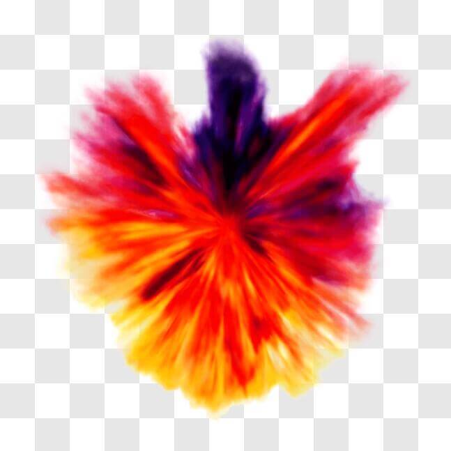 Download Colorful Heart-shaped Explosion Image PNG Online - Creative ...