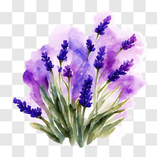 Download Lavender Flowers Watercolor Painting PNG Online - Creative Fabrica