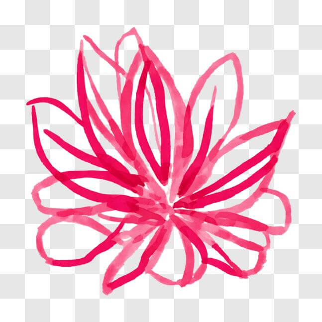 Download Pink Flower Drawing on Black Paper Beauty of Nature PNG Online Creative Fabrica