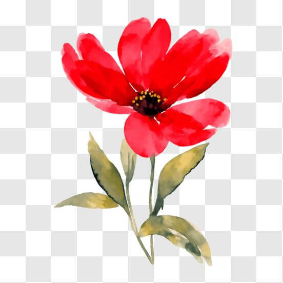 Red Flower PNG - Download Free & Premium Transparent Red Flower PNG ...