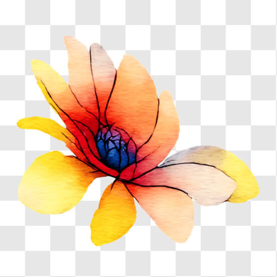 Watercolor Flower in Red, Orange, Yellow, and Blue