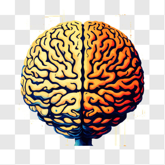 Télécharger Image colorée du cerveau en forme de carte de circuit ...