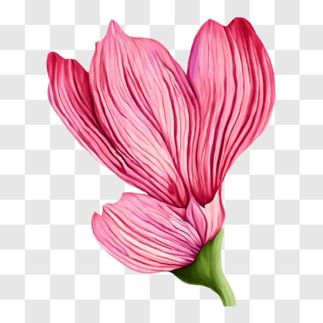 Download Pink Flower with Green Leaves - Beautiful Ornamental Plant PNG ...