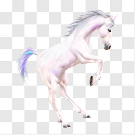 Download Romantic Horse Flower Arrangement PNG Online Creative Fabrica