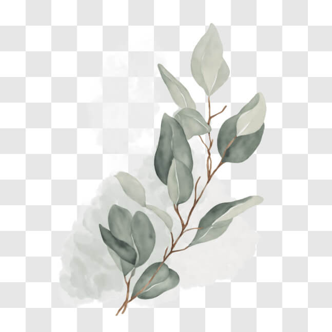 Download Watercolor Eucalyptus Tree Branch PNG Online - Creative Fabrica