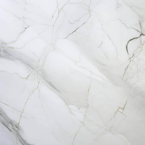 White Marble Surface with Furniture and Bird White Marble Surface with Furniture and Bird thumbnail