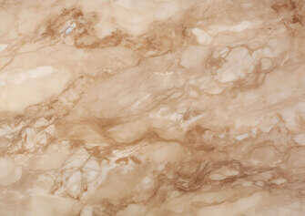 Close-up of Marble Surface with Orange Bird Close-up of Marble Surface with Orange Bird thumbnail