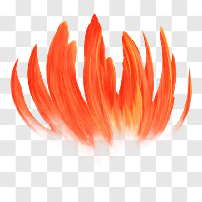 Download Vibrant Flower with Flames - Symbol of Warmth and Energy PNG ...