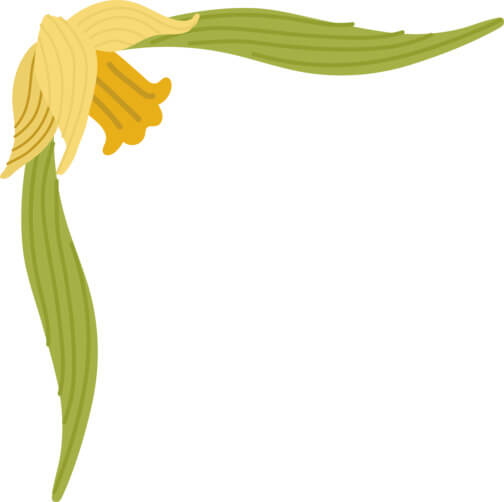 Download Yellow Flower Border on White Background Borders & Corners ...