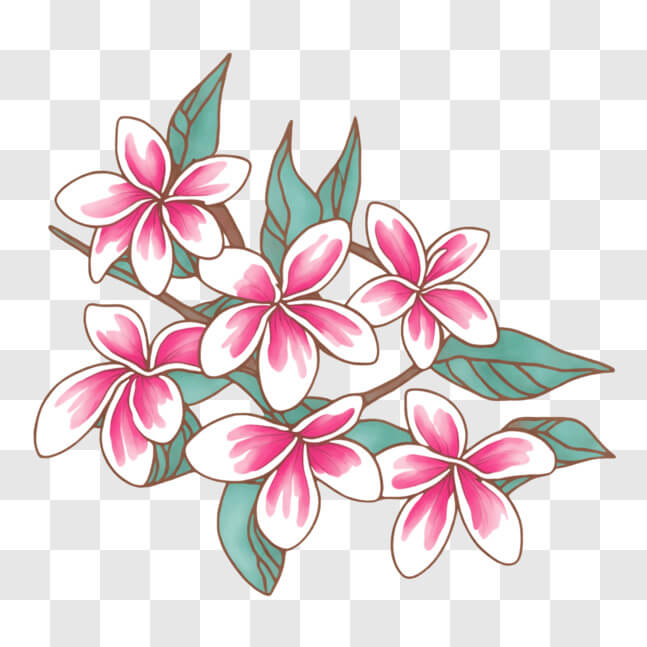Download Beautiful Drawing of Pink and White Flowers in Bloom PNG ...