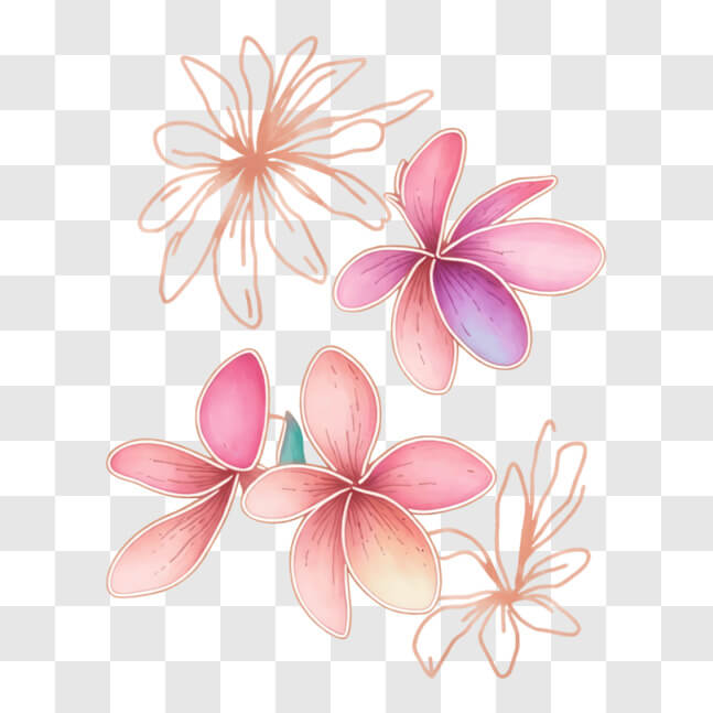 Download Elegant Pink Flowers on Black Background PNG Online - Creative ...