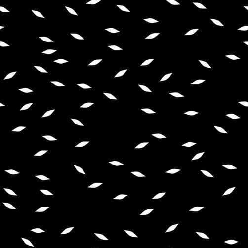 Abstract White Feathers on Black Background Abstract White Feathers on Black Background thumbnail