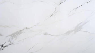 Birds on a Patterned White Marble Wall Birds on a Patterned White Marble Wall thumbnail