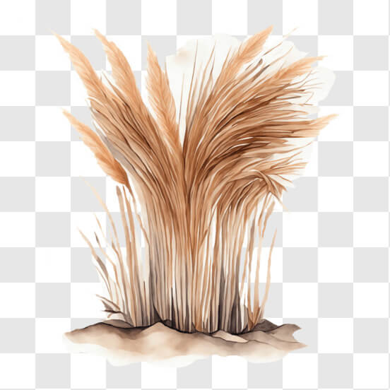 Dried Pampas Grass PNG - Download Free & Premium Transparent Dried Pampas  Grass PNG Images Online - Creative Fabrica