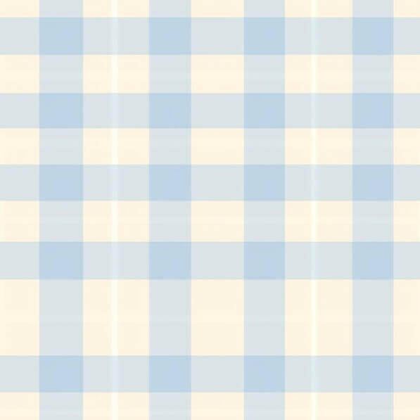 Download Versatile Blue and White Checkered Tablecloth for Any Interior ...