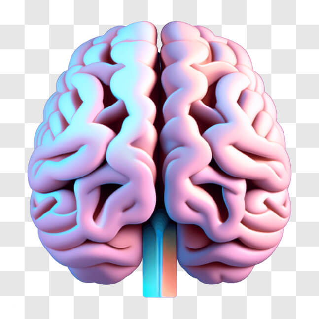 Download Vibrant 3D Model of Human Brain in Pink, Blue, and Purple PNG ...