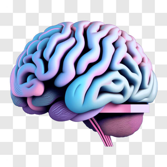 Download Colorful 3D Model of Human Brain PNGs Online - Creative Fabrica