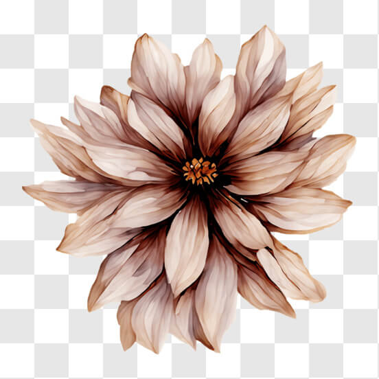 Brown Flower PNG - Download Free & Premium Transparent Brown Flower PNG ...