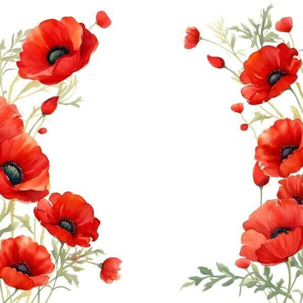 Free Edit Poppy Frame Download Red Poppy Frame for World War I Centennial Backgrounds Online ...