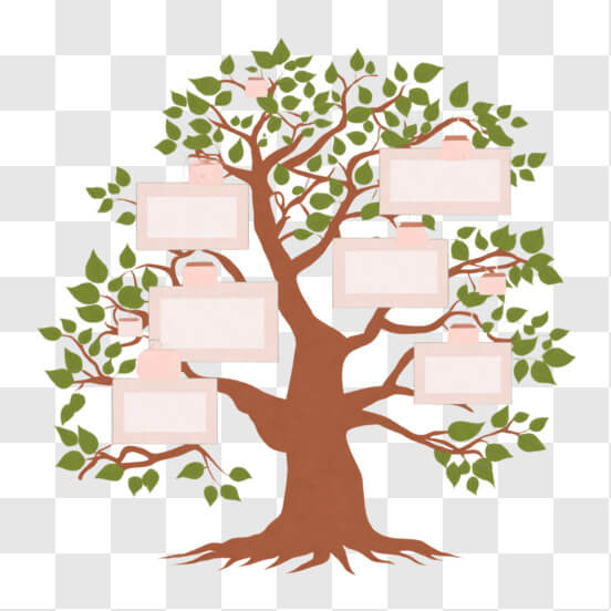 Family Tree PNG - Download Free & Premium Transparent Family Tree PNG ...
