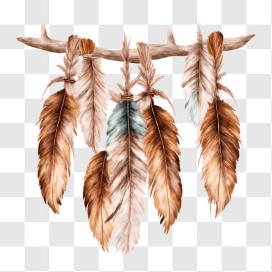 Feather Hanging From A String PNG - Download Free & Premium Transparent ...