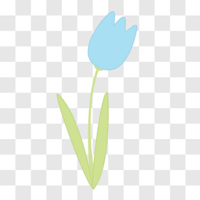 Download Blue Tulip Flower with Green Leaves and Stem PNGs Online ...